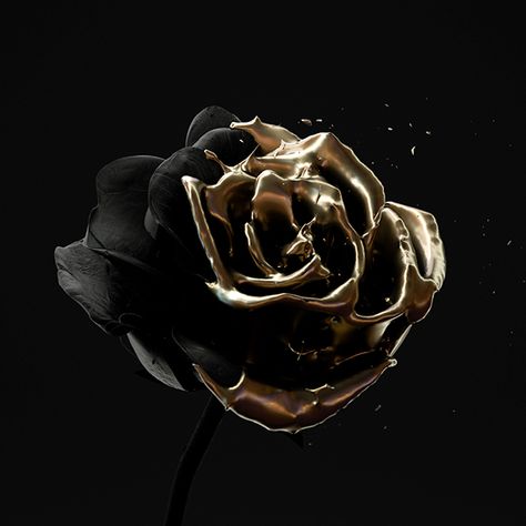 Roses Are Dead – Vol. 4 “Black and Gold” on Behance Black And Gold Aesthetic, Fashion Background, Black Phone Wallpaper, Mood And Tone, Gold Aesthetic, Custom Icons, Gold Background, Gold Wallpaper, Black Aesthetic Wallpaper