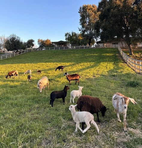 Cade Eaton, Abandoned Farmhouse, Abandoned Cities, Future Farms, Farm Lifestyle, Countryside House, Ranch Life, Farms Living, Animal Sanctuary