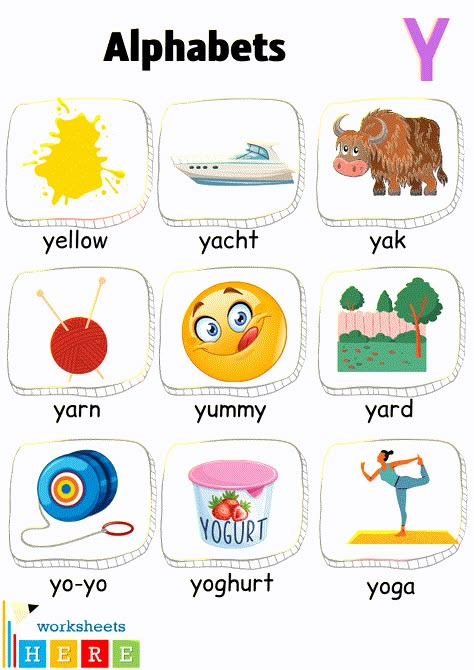 Alphabet Y Words with Pictures, Letter Y Vocabulary with Pictures - WorksheetsHere.com Y Letter Words, Y Words List, Owls Kindergarten, Hungry Caterpillar Classroom, Letter Pictures, Y Alphabet, Alphabet Flash Cards Printable, Y Words, Words List