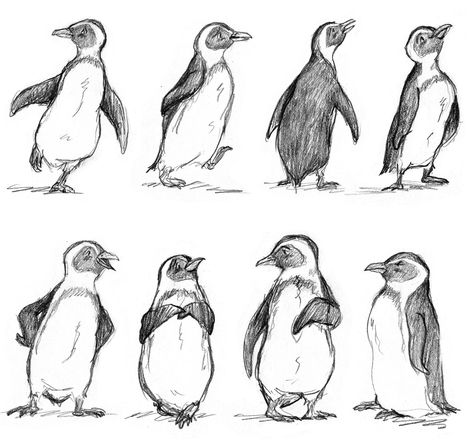 Drawing Of Zoo Animals, Penguin Sketch Cute, Penguin Drawing Sketch, Art Inspiration Drawing Animals, Penguin Drawing Reference, Penguin Pencil Drawing, Animals Drawing Reference, How To Draw Penguin, Drawings Of Penguins