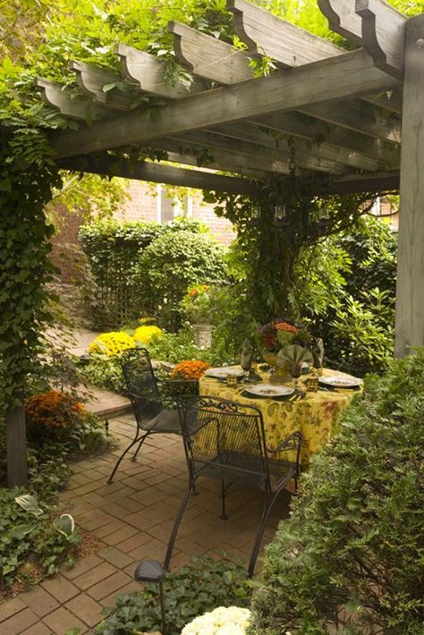 October Garden Tour - Cincinnati Magazine Easy Pergola, Garden Pergolas, Patio Trellis, Gardening Drawing, Patio Gardening, Tattoo Garden, Wallpaper Garden, Garden Nails, Garden Pergola