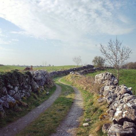 Roscommon Ireland, Ireland Aesthetic, Ancient Ireland, Long Way Home, Winding Road, Road Trippin, Dream Holiday, Ireland Travel, British Isles