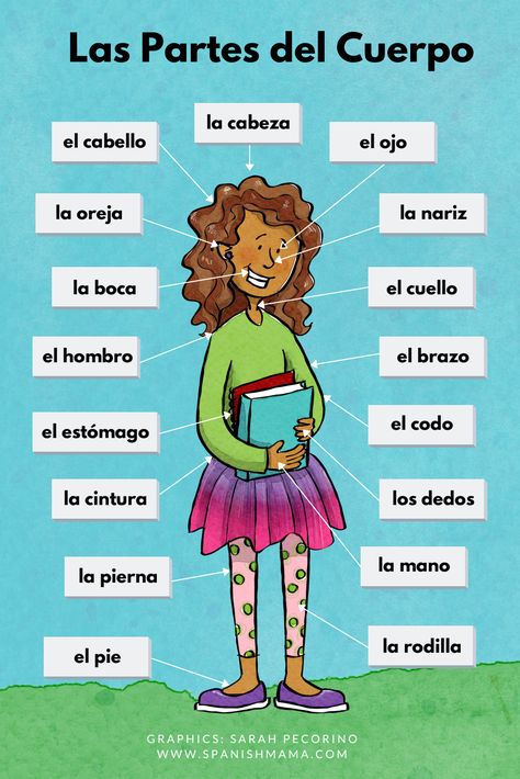 Gustar Spanish Activities, Spanish Activities For Kids, Middle School Spanish Activities, Body Parts In Spanish, Rozpoznawanie Liter, Preterite Spanish, Spanish Classroom Decor, Spanish Learning Activities, Preschool Spanish