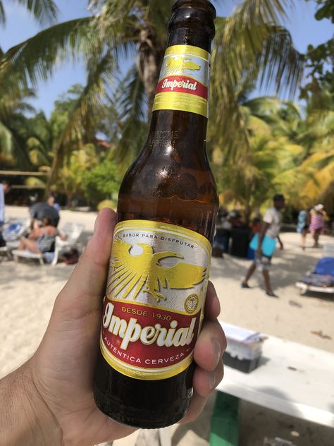 Cerveza Imperial in Roatan, Honduras. Roatan Honduras, Roatan, Beer Brands, Beer Bar, Honduras, Craft Beer, Beer Bottle, Beer, Wine