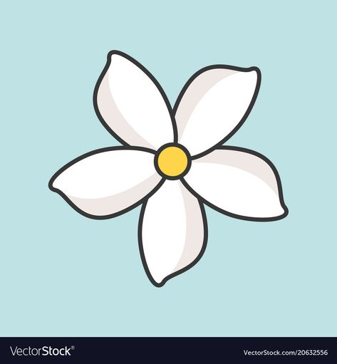 Jasmine Flower Outline, Jasmine Drawing Flower, Jasmine Flower Illustration, Candy Moodboard, Jasmine Flower Drawing, Jasmine Flower Tattoo, Flower Outline Tattoo, Flower Animation, Jasmine Drawing