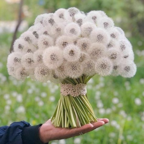 Round Column, Satisfying Pictures, Snow Covered Trees, Dandelion Wish, Dandelion Seed, Dandelion Flower, Wedding Ornament, Colorful Cakes, Oddly Satisfying