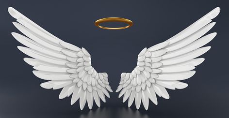 Angle Wings And Halo, Angle Wings With Halo, Golden Angel Wings Aesthetic, Angel Wings Images, Angel Wings Black Background, Golden Angel Wings, Angel Wings Png, Wing Angel, Angel Wings Drawing