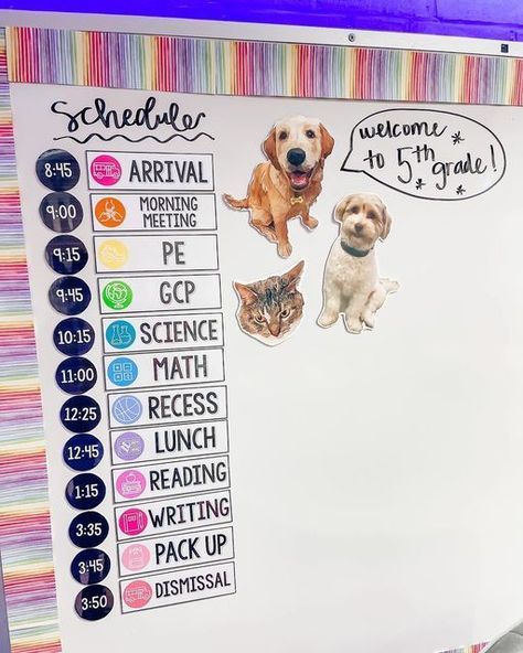 Displaying Anchor Charts In Classroom, Teacher Ideas For Classroom High School, Schedule On Whiteboard, Woof Of The Week Classroom, Grade R Classroom Ideas, Whiteboard Decoration Ideas Classroom, Teacher Whiteboard Organization, 1st Grade Classroom Ideas, 1st Grade Classroom Set Up