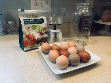 Water Glassing Eggs: How to Store Eggs Long Term Canning Cabbage, Glassing Eggs, Preserving Eggs, Zucchini Salsa, Salsa Canning Recipes, Water Bath Canning Recipes, Food Grade Buckets, Storing Eggs, Cabbage Head