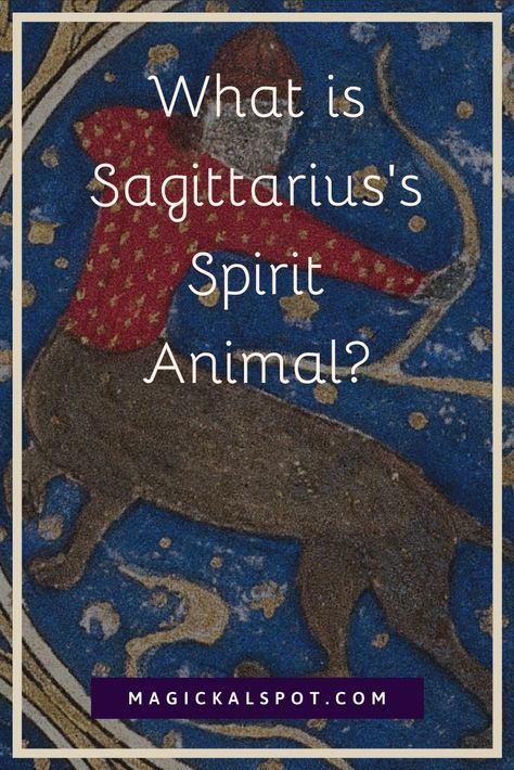 What Spirit Animal is a Sagittarius? In this article, we'll find out how to harness the power of this Spirit Animal if you're a Sagittarius. Sagittarius Spirit Animal, Sagittarius Pictures, Sagittarius Animal, Spirit Animal Tattoo, Spirit Animals Series, Full Moon Spells, Wiccan Rituals, Animal Zodiac, Moon Spells