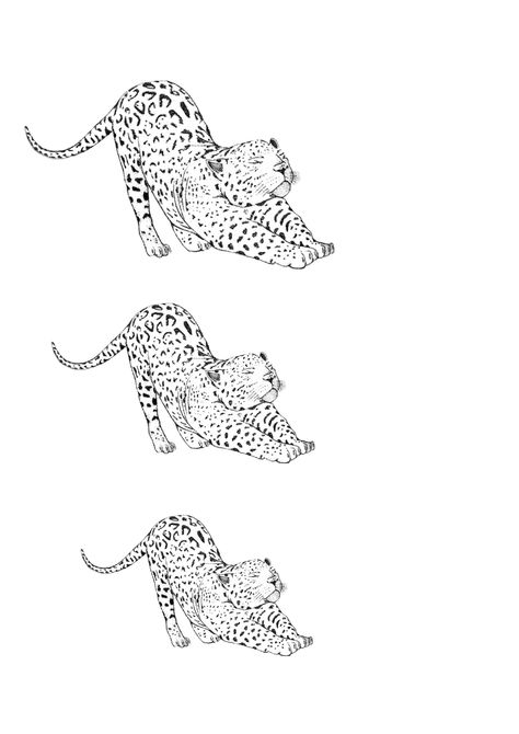 Cheetah Tattoo Thigh, Leopard Stretching Tattoo, Cheetah Hip Tattoo, Simple Leopard Tattoo, Leopard Back Tattoo, Leopard Tattoo Design For Women, Tattoo Triangle, Mother And Baby Tattoo, Cheetah Tattoo