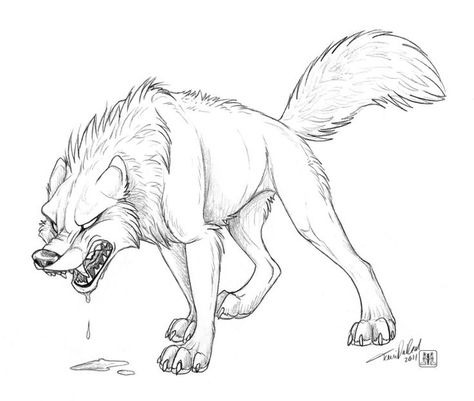 Wolf Drawing Easy, Wolf Base, Angry Wolf, Wolf Sketch, Wolf Artwork, Artwork Gallery, Dot Net, Dog Sketch, Canine Art