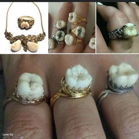 Human Teeth Jewelry, Tooth Ring, Human Teeth, Dental Art, Teeth Jewelry, First Tooth, Funky Jewelry, Tooth Fairy, Cute Jewelry