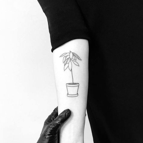 Pot Tattoo, Fatima Hand Tattoo, Hand Poke Tattoo, Plant Tattoos, Hipster Tattoo, Shamrock Tattoos, Tattoo Tiny, Avocado Plant, Handpoke Tattoo