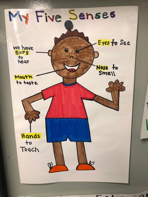 Senses For Preschool, 5 Senses Poster Preschool, 5 Senses Prek Craft, Five Senses Poster Preschool, Senses Anchor Chart, Five Senses Anchor Chart, 5 Senses Books Preschool, Nanny Tips, Books About The Five Senses For Preschool