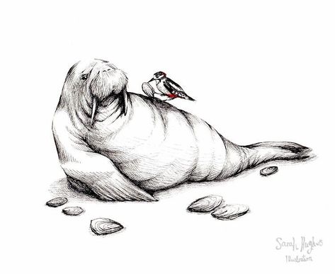 Walrus Tattoo, Walrus Illustration, Walrus And The Carpenter, Cloud Tutorial, Inktober 2023, Watercolour Ideas, Tattoo Henna, White Pen, Lewis Carroll