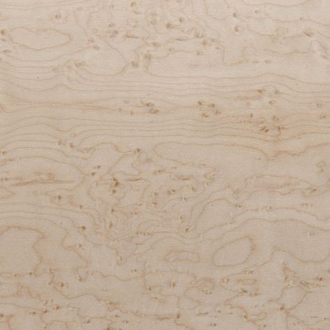 Sauers - Birdseye Maple Veneer Sheet Heavy Figure 4' x 8' 2-Ply Wood on Wood White Chestnut, Wood Veneer Sheets, Birdseye Maple, Furniture Repair, White Bird, Furniture Maker, Birds Eye, Maple Wood, Smooth Texture