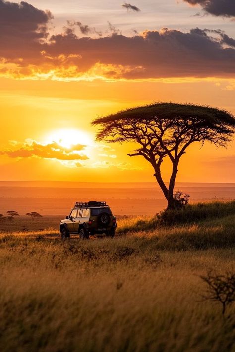 "Embark on an electric safari in Kenya! 🚙⚡ Experience wildlife conservation and adventure in a sustainable way. Explore the savannah with minimal impact and maximum excitement. 🦁🌿 #ElectricSafari #Kenya #EcoFriendlyTravel" Safari In Kenya, Kenya Safari, Eco Friendly Travel, Gap Year, Wildlife Conservation, Savannah, Kenya, Savannah Chat, Sustainability