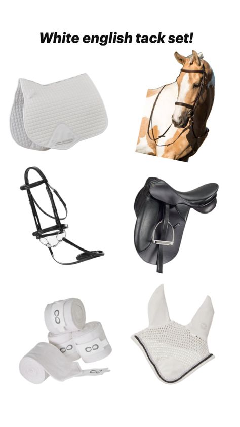 #horse#palomino#preppy#white#tack#english English Tack Sets, Horse Palomino, English Horse Tack, English Tack, English Horse, Tack Sets, Horse Equestrian, Show Jumping, Horse Tack