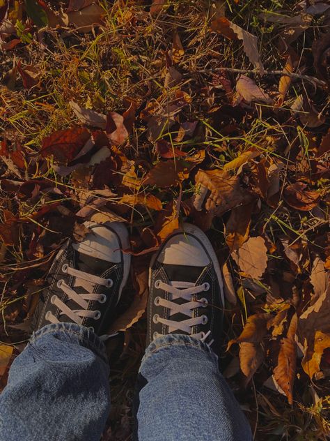 Boots In Leaves Aesthetic, Fall Aesthetic Converse, Fall Converse Aesthetic, Stars Hollow Aesthetic Fall, Golmore Girls Aesthetics, Lorelaicore Aesthetic, Converse Fall Aesthetic, Rory Gilmore Autumn Aesthetic, Rory Gilmore Aesthetic Pictures