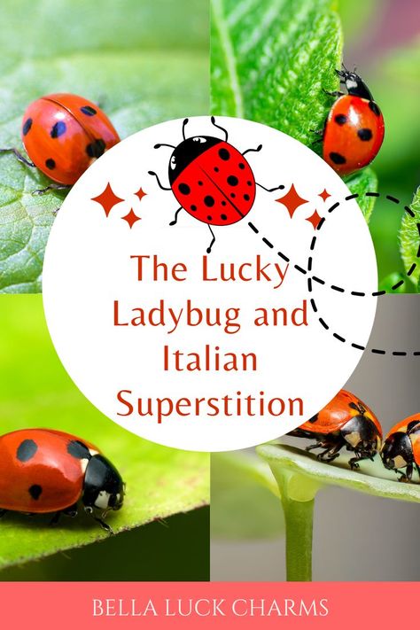 The ladybird or ladybug is a lucky symbol throughout Italy. You will see the lucky la Coccinella or ladybird on jewelry, in lottery stores, hanging off keychains and even on ceramics too! #superstition #italy #ladybird #ladybug #blog Mommy Quotes, Lucky Symbols, Lady Bird, Luck Charms, Lucky Charm, The Bible, Keychains, Blog Posts, Italy