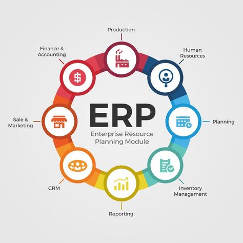 Multi Lingual, Web Software, Software House, Computer Service, Export Business, Warehouse Management, Erp Software, Erp System, Business Automation