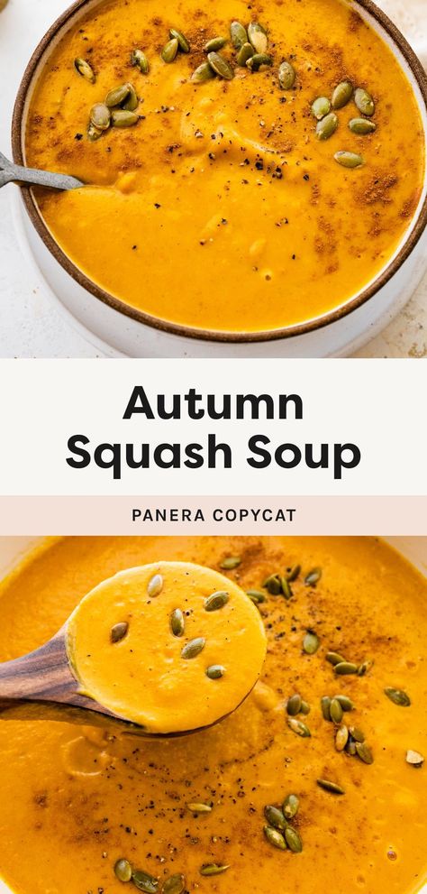 This Panera autumn squash soup combines butternut squash, carrots, pumpkin, apple and warming spices for a creamy, velvety smooth soup that tastes like fall in a bowl! It's even better than Panera! Butternut Squash Soup Apple, Pumpkin Or Squash Soup, Butternut And Pumpkin Soup, Squash And Pumpkin Recipes, Whole 30 Butternut Squash Soup, Pumpkin Squash Soup Recipes, Butternut Apple Squash Soup, Panera Butternut Squash Soup Copycat, Autumn Squash Soup Panera