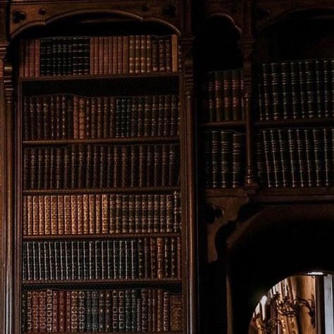 Medieval Library Aesthetic, Medieval Castle Aesthetic Interior, Medieval Castle Interior, Medieval Library, Castle Aesthetic Interior, French Nobility, Castle Library, Castle School, Castle Ideas