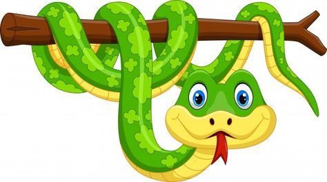 Cute green snake cartoon on branch | Premium Vector #Freepik #vector #character #animal #snake #mascot Cartoon Snake, Birthday Party Box, Pop Art Vector, Baby Snakes, Snake Coloring Pages, Snake Illustration, Branch Vector, Cute Snake, Horse Coloring Pages