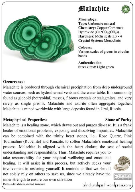 Crystal Correspondences, Crystals Malachite, Calming Crystals, Crystal Seashells, Globe Amaranth, Crystal System, Crystal Healer, Scalpel, Crystals Healing Properties