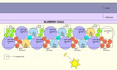 Blueberry Garden Design, Blueberry Guild Design, Blueberry Guild, Tree Guild, Forest Gardening, Blueberry Gardening, Food Forests, Beautiful Gardens Landscape, David Suzuki