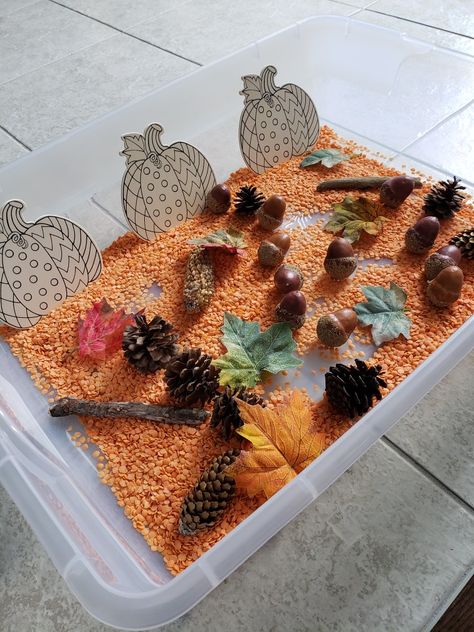 My toddler loved this - red lentils as the base, pinecone and sticks from outside, the rest is dollar store! Dollar Store Sensory Bins, Autumn Sensory Bin, Sensory Bin Play, Red Lentils, Sensory Bin, Red Lentil, Sensory Bins, Sensory Play, Toddler Crafts