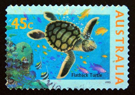 Postage stamp Australia, 1995. Australian Flatback Turtle Chelonia depressa royalty free stock photography Postage Stamp Design, Fauna Marina, Life Image, Post Stamps, Spotify Covers, Vintage Poster Design, Book Stamp, Vintage Postage Stamps, Stamp Printing