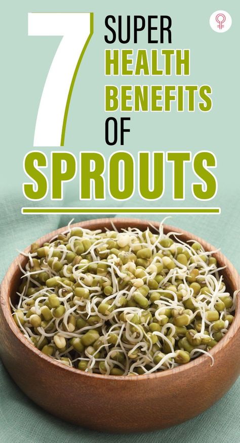 Chia Sprouts Benefits, Clover Sprouts Benefits, Beans Sprouts Recipes, Sprout Benefits, Brussels Sprout Benefits, Broccoli Sprouts Recipes, Alfalfa Sprouts Benefits, Lentil Health Benefits, Bean Sprouts Benefits