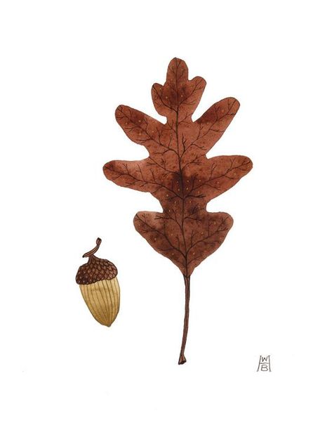 Autumn Illustration, Leaf Drawing, 자수 디자인, Botanical Drawings, Autumn Art, Illustration Character Design, Autumn Inspiration, Botanical Illustration, Botanical Art