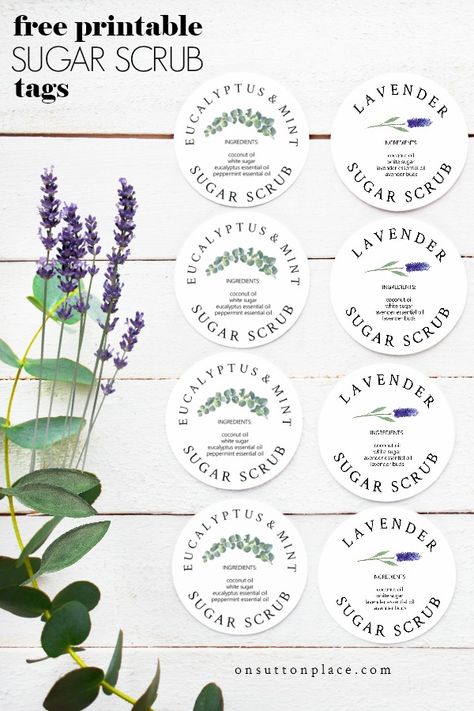 The Complete Guide to Sugar Scrubs: An easy to download eBook that gives the basic recipe, how to use sugar scrub, and recommended scents. #sugarscrub #sugarscrubrecipe #diysugarscrub Sugar Scrub Labels Printable Free, Homemade Sugar Scrub Recipes, Sugar Scrub Labels, Sugar Scrub Homemade Recipe, Mazes For Kids Printable, Homemade Sugar Scrub, Mint Sugar Scrub, Printable Tags Template, Scrub Diy