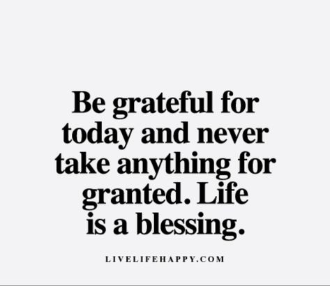 Life Is Blessing Quotes, Grateful For Food Quotes, Take It For Granted Quotes, Taking Life For Granted Quotes, Taken For Granted Quotes, Never Take Anything For Granted, Granted Quotes, Grateful For Today, Grateful Quotes