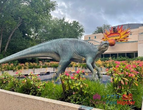 32 Fantastic Animal Kingdom Hidden Secrets You MUST Discover - ThemeParkHipster Countdown To Extinction, Discovery Island, Disney World Secrets, Busch Gardens, Park Photography, Walt Disney World Vacations, Cool Themes, Park Photos, Boat Dock