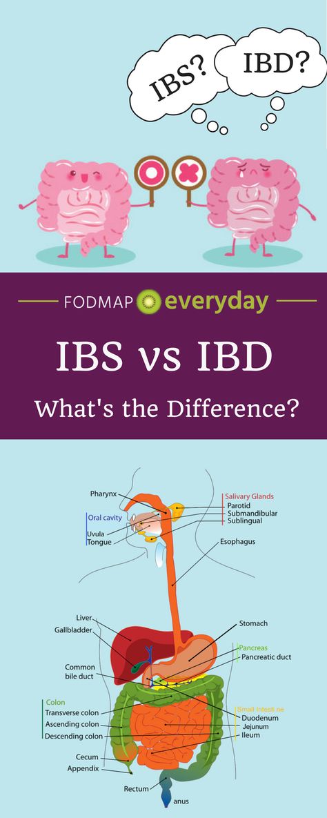 Constipation Diet, What Is Ibs, Ibs C, Ibs Fodmap, Fodmap Diet Plan, Irritable Bowel Disease, Ibs Relief, Fodmap Foods, Ibs Recipes