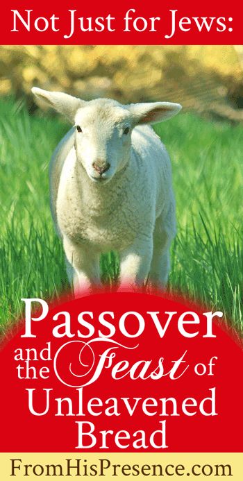 Feast Of Unleavened Bread Recipes, Feast Of Unleavened Bread Meals, Passover Meals Traditional, Unleavened Bread Recipe Passover, Passover Lamb Recipe, Passover Bread, Passover Christian, Unleavened Bread Recipe, Passover Menu