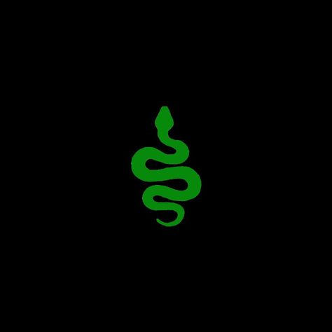 Green Icons With Black Background, Black And Green Widgets, Black And Green Icons, Snake Pfp, Snake Icon, Green And Black Background, Phone Green, Snake Wallpaper, Green Y2k