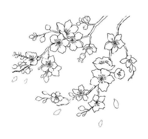 Cherry Blossom Branches Drawing, Cherry Flowers Drawing, Cherry Blossom Tattoo Linework, Cherry Blossom Tattoo Sketch, Cherry Blossom Line Art Tattoo, Cherry Blossom Tree Outline, Cherry Blossom Tree Tattoo Stencil, Cherry Flower Drawing, Cherry Blossom Tattoo Drawing