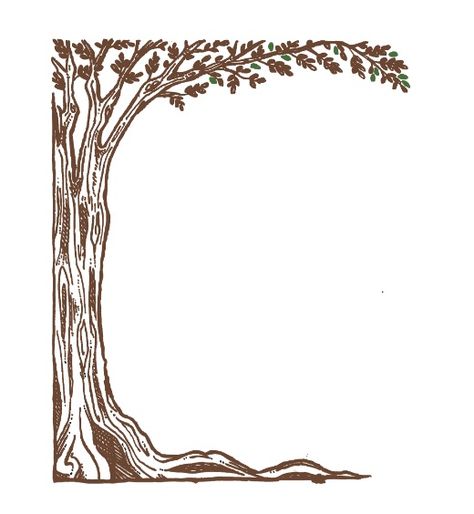 Custom Label Design: Olive Tree Tree Frame Design, Tree Border Design Drawing, Olive Tree Border, Tree Border Drawing, Olive Tree Design, Tree Border Design, Olive Tree Drawing, Tree Border, Ketubah Art