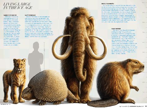 Living Large Cenozoic Era Animals, Pleistocene Animals, Ice Age Animals, Giant Sloth, Jurassic World Wallpaper, Prehistoric Mammals, Prehistoric Period, Answers In Genesis, Sabertooth Tiger