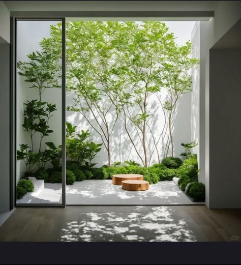 Japandi Courtyard, Indoor Garden Architecture, Japandi Garden, Interior Modern House, Internal Garden, Garden Atrium, Indoor Zen Garden, Indoor Landscaping, Design Interior Modern