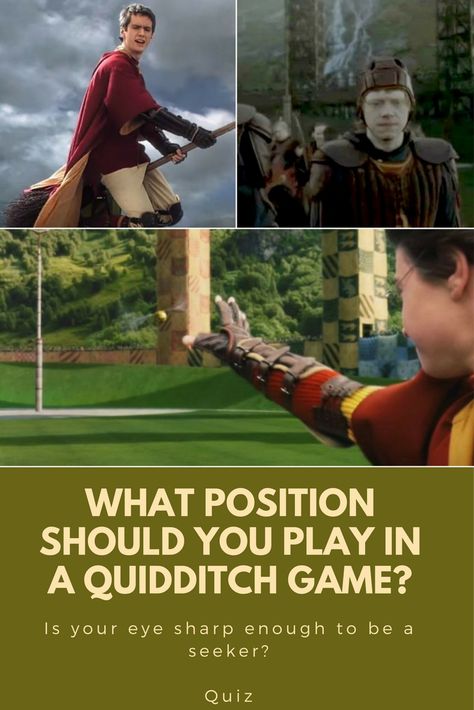 Quidditch is perhaps the most popular sport in the Wizard World, and we have seen it being played in many of the Harry Potter movies. Which position best suits you? Take this quiz to find out! Quidditch Game, Hogwarts Quidditch, Harry Potter Quizzes, Dog With A Blog, Harry Potter Quiz, Harry Potter Games, Oliver Wood, Harry Potter Quidditch, The Fault In Our Stars