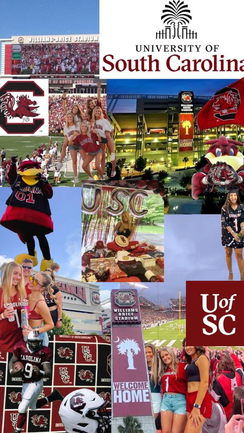 University Of South Carolina Aesthetic, University Of South Carolina Dorm, Usc Aesthetic Wallpaper, East Carolina University Wallpaper, Usc Dorm, South Carolina University, University Of South Carolina Gameday, Usc College, University Of South Carolina Gamecocks