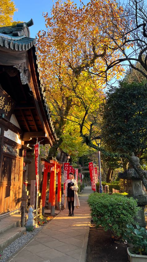 autumn in tokyo⛩️ Japan Autumn Aesthetic, Japon Aesthetic, Fall In Japan, Tokyo Autumn, Japan Moodboard, Japan Park, Japan Living, Summer In Japan, Japan Autumn