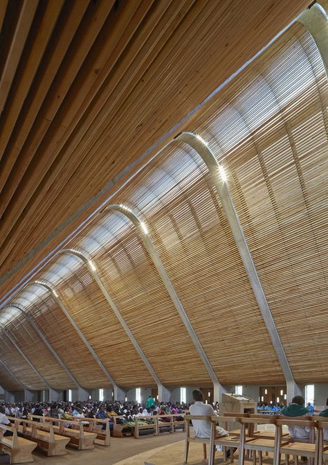 Sacred Heart Cathedral, Kings Cross Station, Timber Roof, Modern Church, Genius Loci, Wood Architecture, Sacred Architecture, Religious Architecture, Architecture Awards