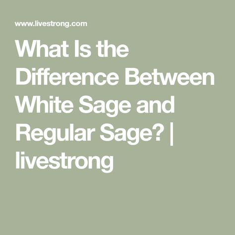 What Is the Difference Between White Sage and Regular Sage? | livestrong Sage And Purple, Types Of Sage, Purple Sage, Silver Sage, Blue Sage, What Is The Difference Between, Clary Sage, White Sage, Azure Blue